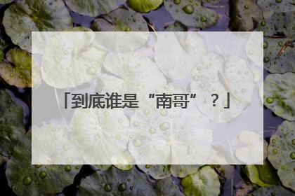 到底谁是“南哥”？