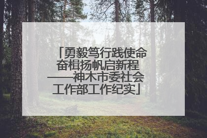 勇毅笃行践使命 奋楫扬帆启新程——神木市委社会工作部工作纪实