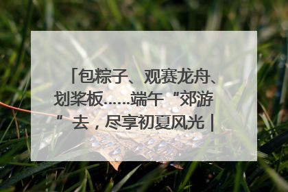 包粽子、观赛龙舟、划桨板……端午“郊游”去，尽享初夏风光｜端午氛围最浓时①