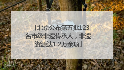 北京公布第五批123名市级非遗传承人，非遗资源达1.2万余项