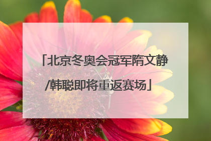 北京冬奥会冠军隋文静/韩聪即将重返赛场