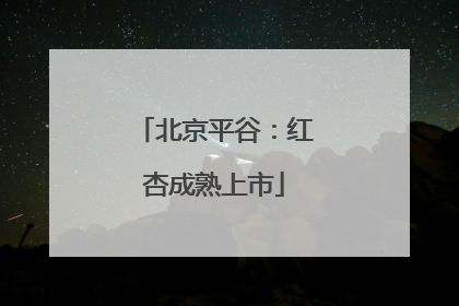 北京平谷：红杏成熟上市
