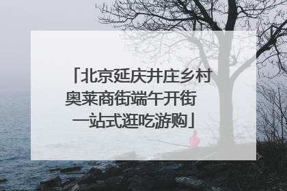 北京延庆井庄乡村奥莱商街端午开街 一站式逛吃游购