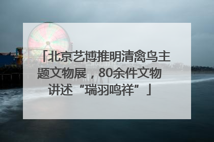 北京艺博推明清禽鸟主题文物展，80余件文物讲述“瑞羽鸣祥”