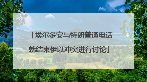 埃尔多安与特朗普通电话 就结束伊以冲突进行讨论