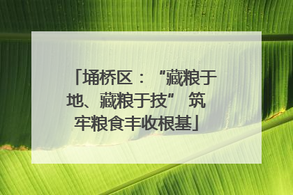 埇桥区：“藏粮于地、藏粮于技” 筑牢粮食丰收根基