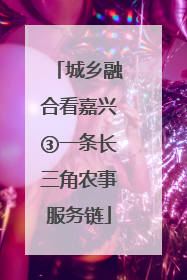 城乡融合看嘉兴③一条长三角农事服务链