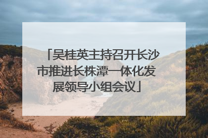 吴桂英主持召开长沙市推进长株潭一体化发展领导小组会议