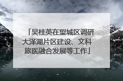 吴桂英在望城区调研大泽湖片区建设、文科旅医融合发展等工作