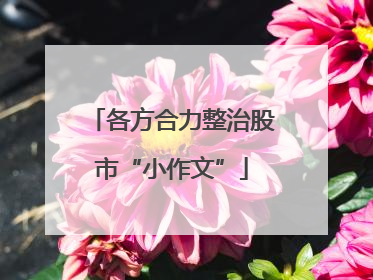 各方合力整治股市“小作文”