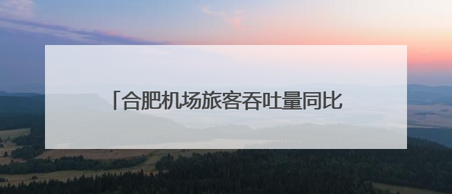 合肥机场旅客吞吐量同比增幅位居全国第一方阵
