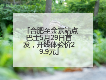 合肥至金寨站点巴士5月29日首发，开线体验价29.9元