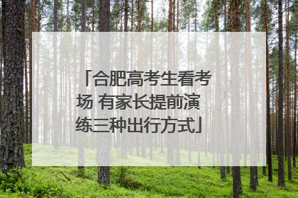 合肥高考生看考场 有家长提前演练三种出行方式