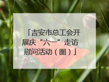 吉安市总工会开展庆“六一”走访慰问活动（图）