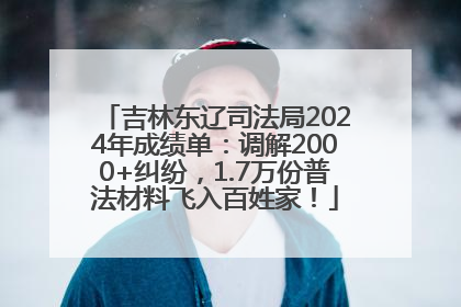 吉林东辽司法局2024年成绩单：调解2000+纠纷，1.7万份普法材料飞入百姓家！
