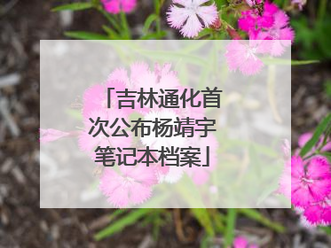 吉林通化首次公布杨靖宇笔记本档案
