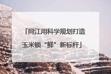 同江用科学规划打造玉米锁“鲜”新标杆