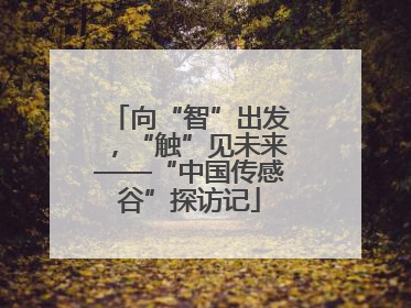 向“智”出发，“触”见未来——“中国传感谷”探访记