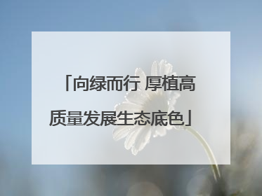 向绿而行 厚植高质量发展生态底色