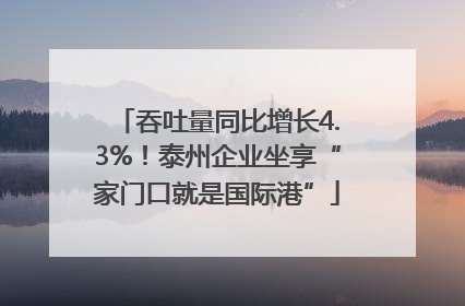 吞吐量同比增长4.3%！泰州企业坐享“家门口就是国际港”