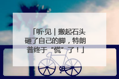 听·见｜搬起石头砸了自己的脚，特朗普终于“慌”了！