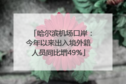 哈尔滨机场口岸：今年以来出入境外籍人员同比增49%