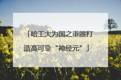 哈工大为国之重器打造高可靠“神经元”