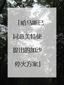 哈马斯已同意美特使提出的加沙停火方案