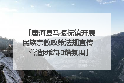 唐河县马振抚镇开展民族宗教政策法规宣传 营造团结和谐氛围