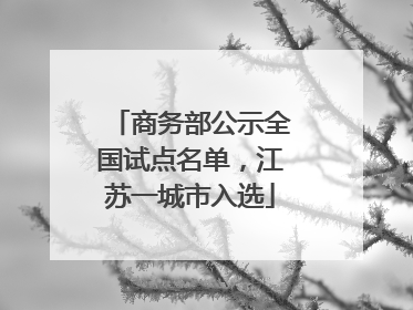 商务部公示全国试点名单，江苏一城市入选