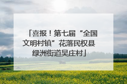喜报！第七届“全国文明村镇”花落民权县绿洲街道吴庄村