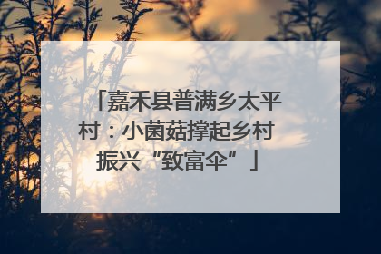 嘉禾县普满乡太平村：小菌菇撑起乡村振兴“致富伞”