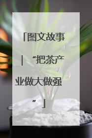 图文故事｜“把茶产业做大做强”
