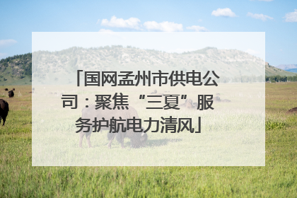 国网孟州市供电公司：聚焦“三夏”服务护航电力清风