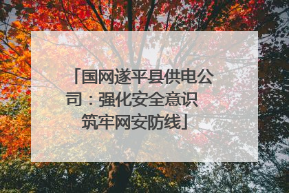 国网遂平县供电公司：强化安全意识 筑牢网安防线