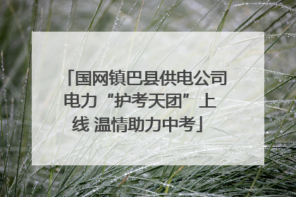 国网镇巴县供电公司 电力“护考天团”上线 温情助力中考
