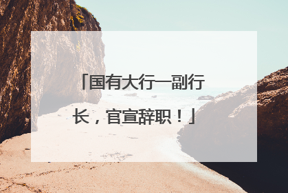 国有大行一副行长，官宣辞职！