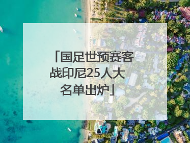 国足世预赛客战印尼25人大名单出炉