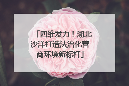 四维发力！湖北沙洋打造法治化营商环境新标杆