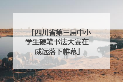 四川省第三届中小学生硬笔书法大赛在威远落下帷幕