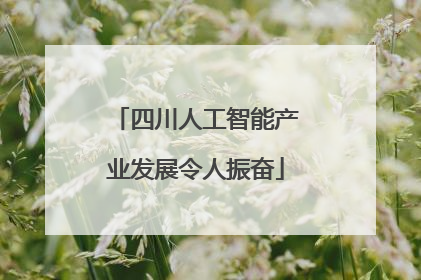 四川人工智能产业发展令人振奋