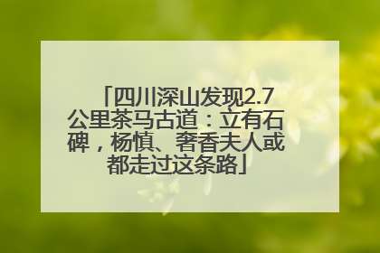 四川深山发现2.7公里茶马古道：立有石碑，杨慎、奢香夫人或都走过这条路