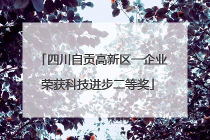 四川自贡高新区一企业荣获科技进步二等奖