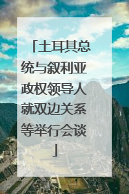 土耳其总统与叙利亚政权领导人就双边关系等举行会谈
