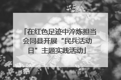 在红色足迹中淬炼担当 会同县开展“民兵活动日”主题实践活动