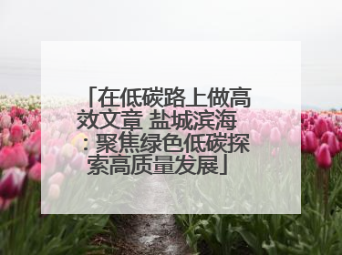 在低碳路上做高效文章 盐城滨海：聚焦绿色低碳探索高质量发展