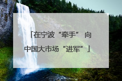 在宁波“牵手” 向中国大市场“进军”
