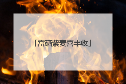 富硒紫麦喜丰收