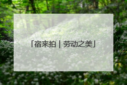 宿来拍｜劳动之美