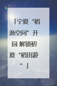 宁夏“稻渔空间”开园 解锁初夏“稻田游”